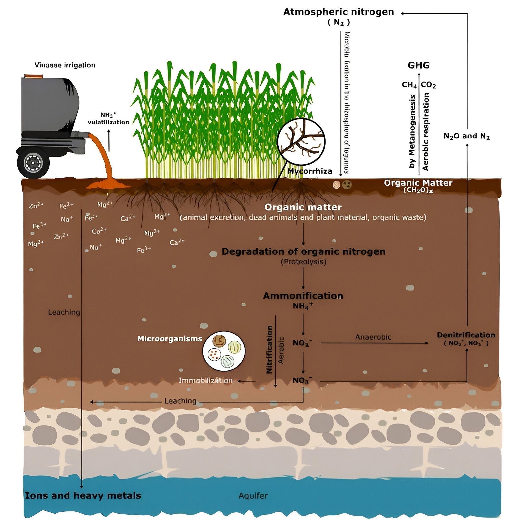Why Garden Gold Organic Fertilisers are 100% Vinasse-Free — And Why That Matters