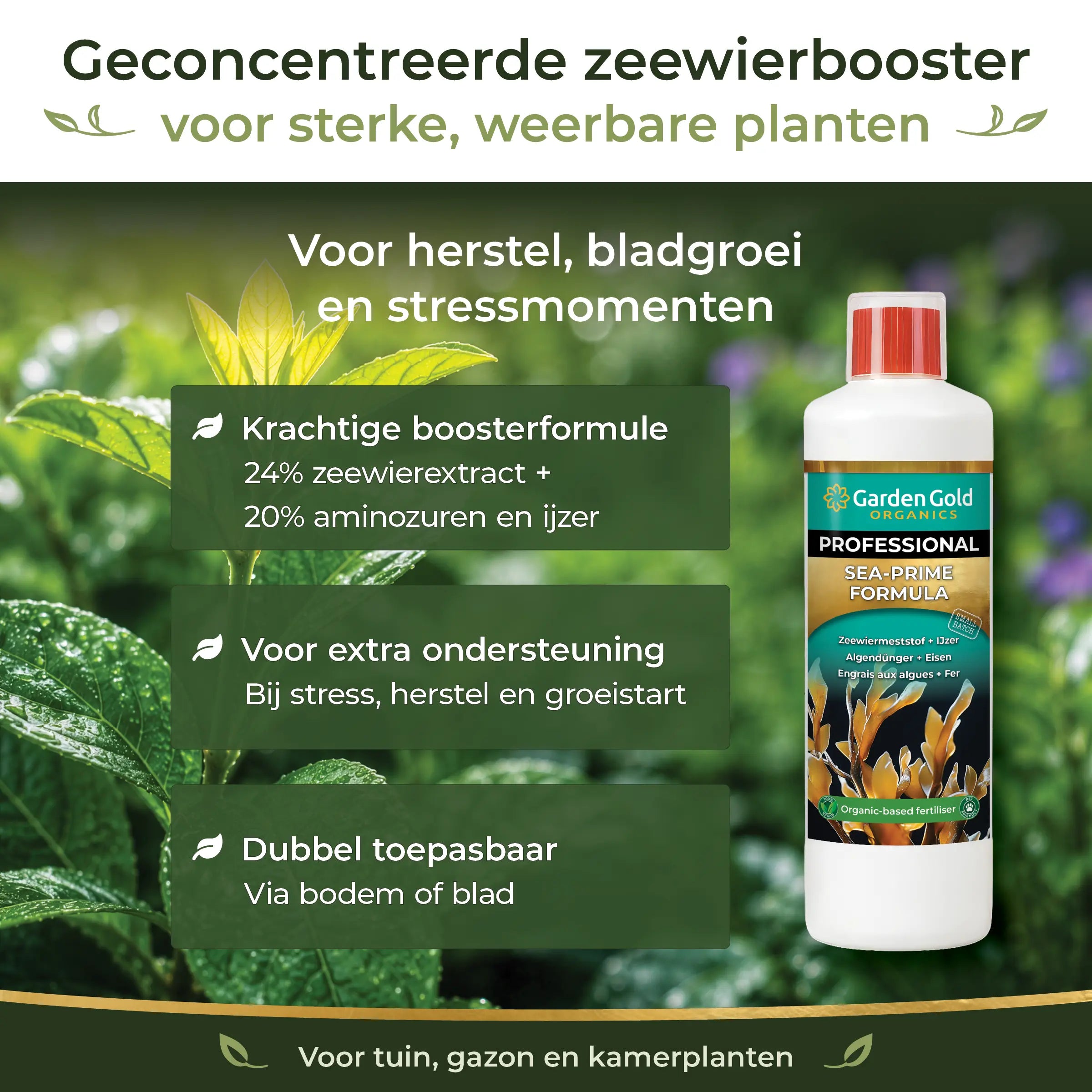 Concentrated Sea-Prime seaweed booster with 24% seaweed extract, 20% amino acids and iron for recovery, leaf growth and stress support
