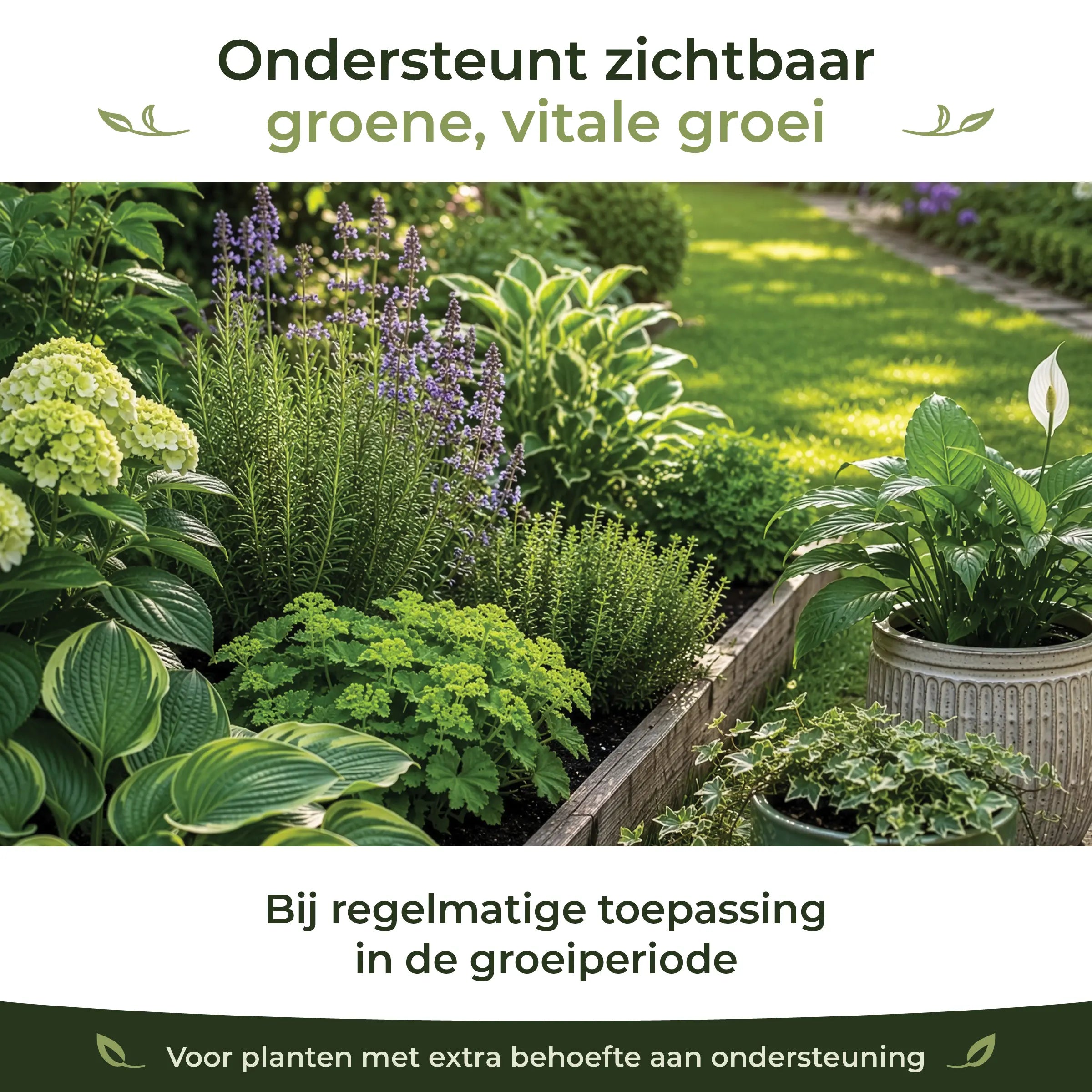 Healthy garden and houseplants showing green, vital growth with regular Sea-Prime application during the growing season