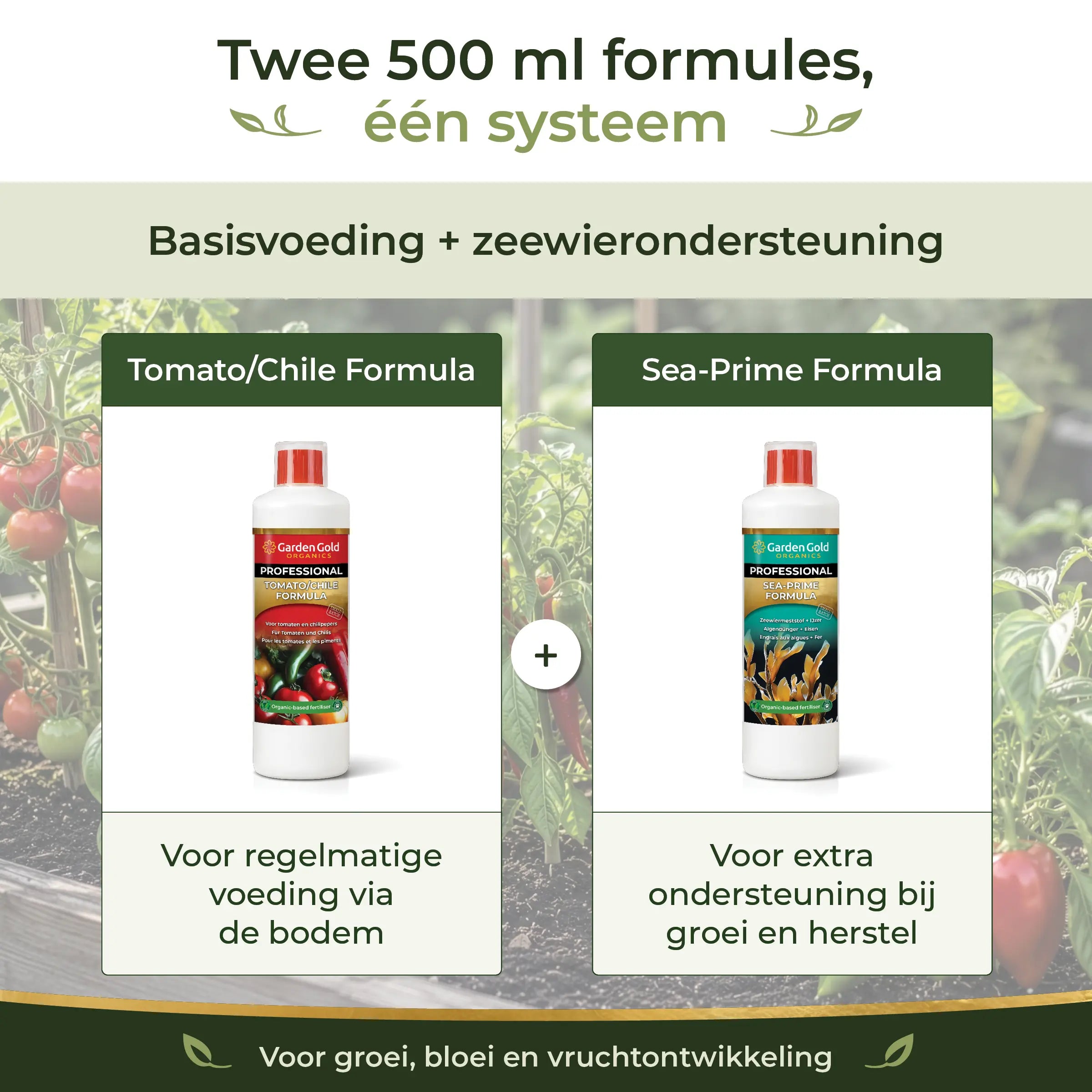 Two-formula Starter Pack feeding system combining Tomato/Chile Formula as base nutrition and Sea-Prime as seaweed support for growth, flowering and fruit development