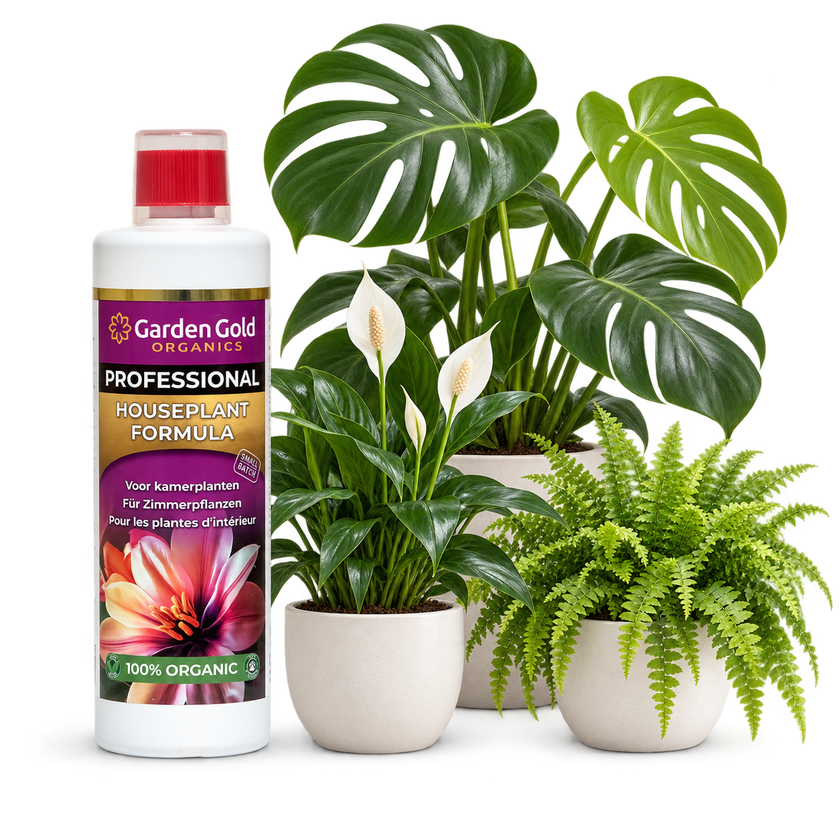 Garden Gold Organics Houseplant Formula beside a monstera, peace lily and fern
