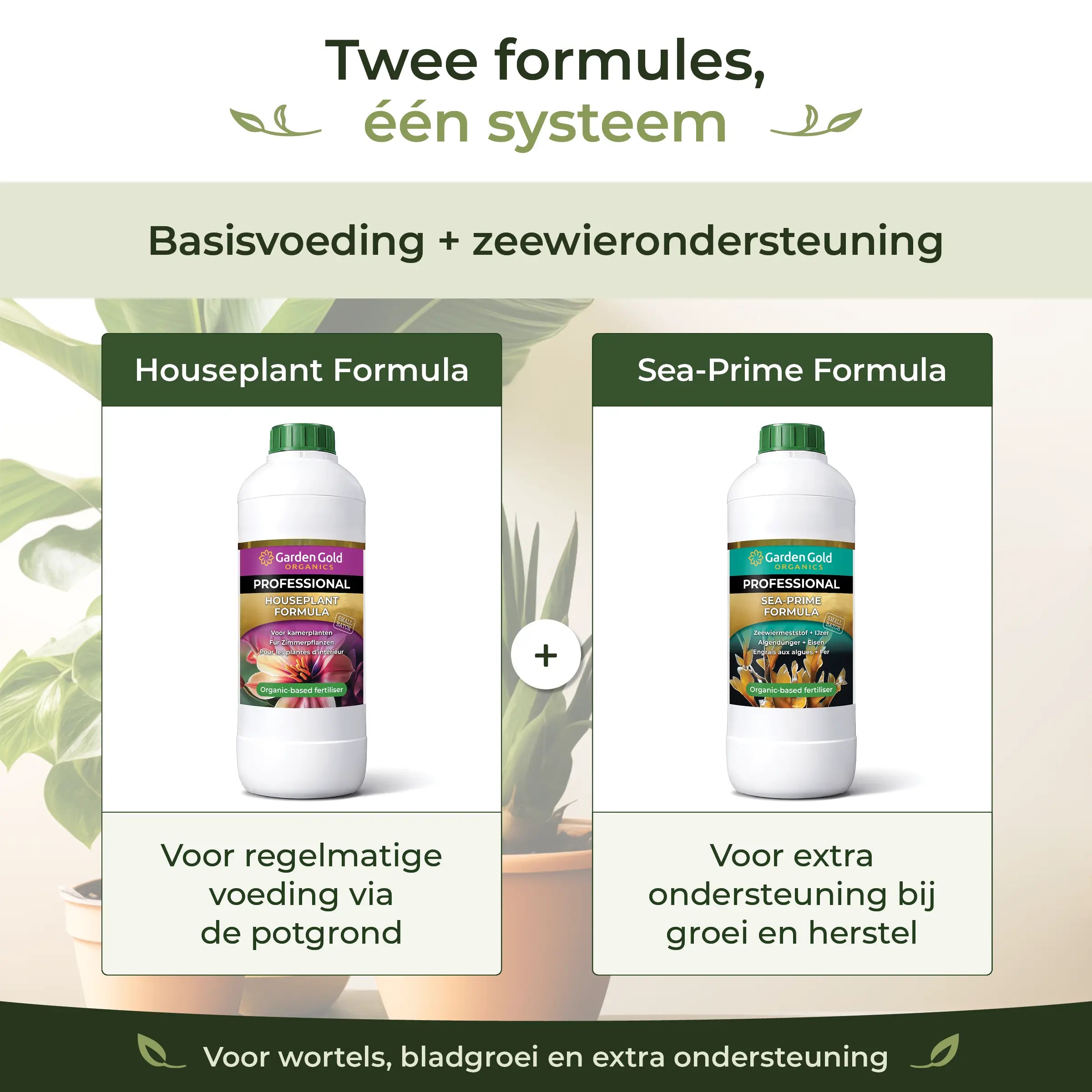 Two-formula feeding system combining Houseplant Formula as base nutrition and Sea-Prime as seaweed support for roots, leaf growth and recovery