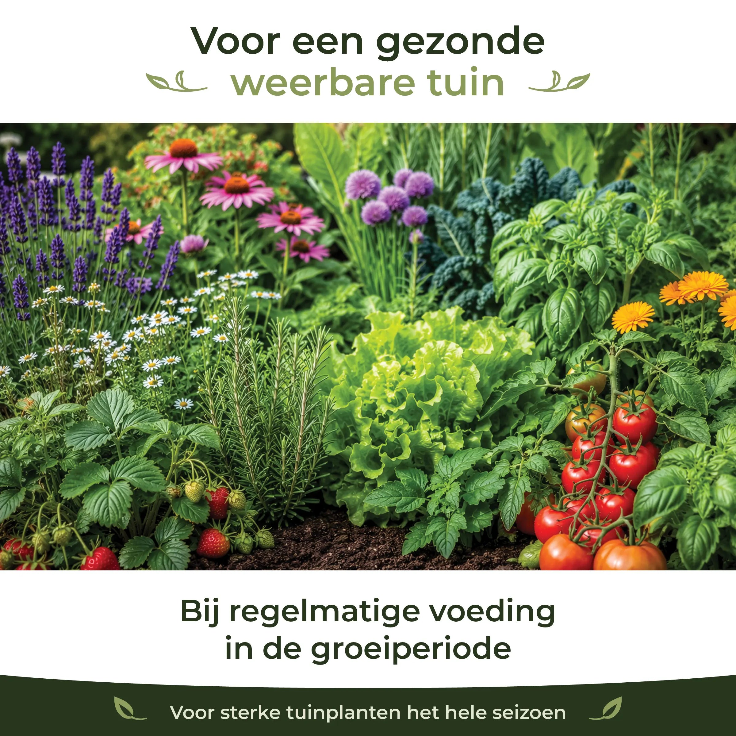 Organic Garden Fertiliser