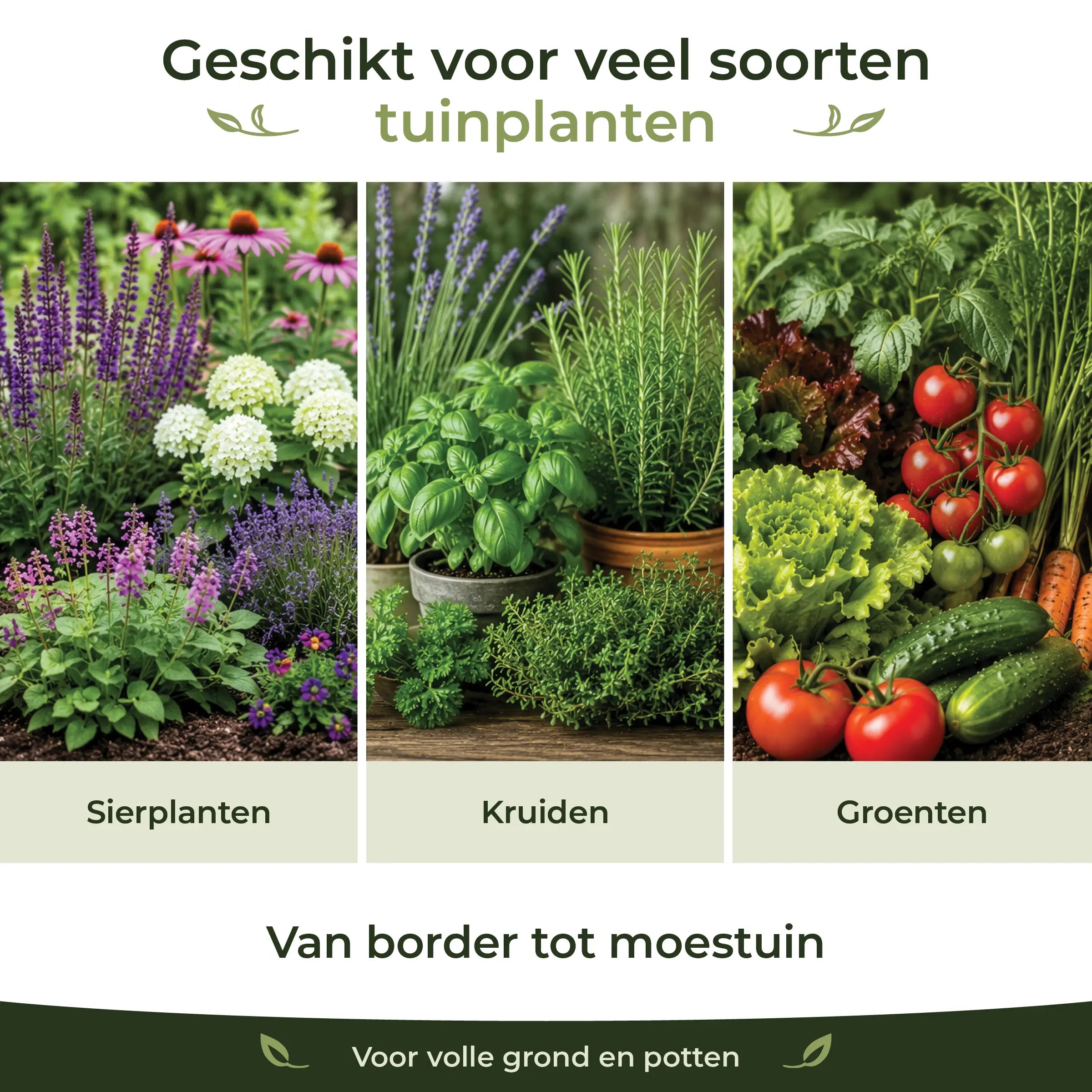 Organic Garden Fertiliser