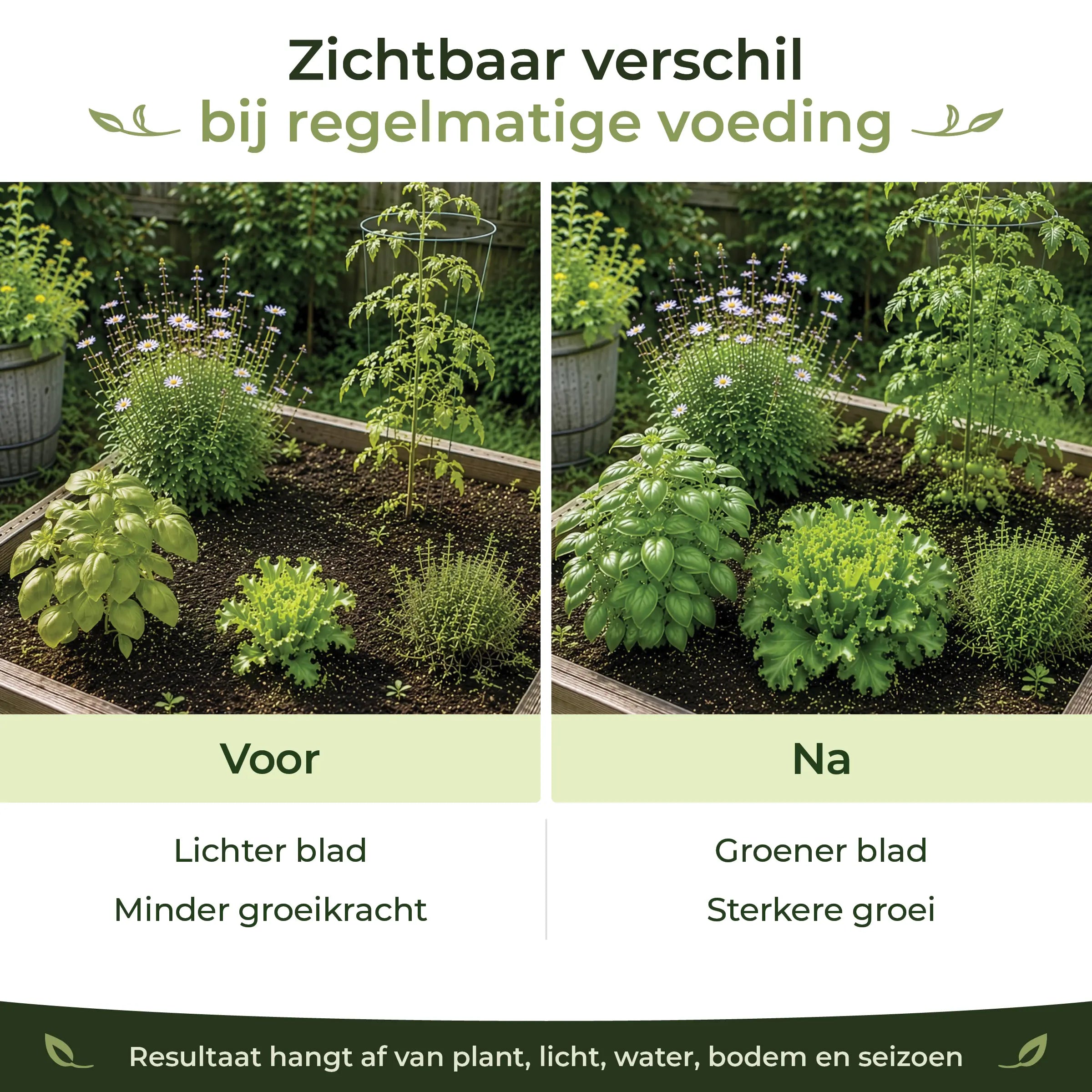 Organic Garden Fertiliser