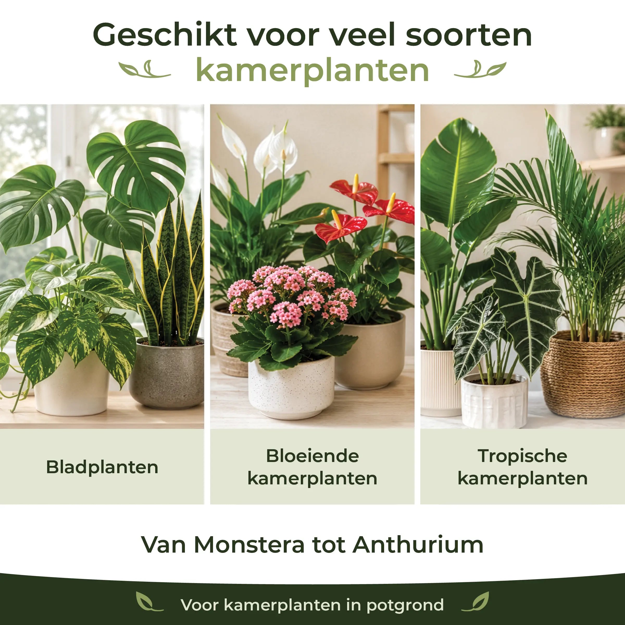 Houseplant Formula suitable for foliage plants, flowering houseplants and tropical indoor plants from Monstera to Anthurium