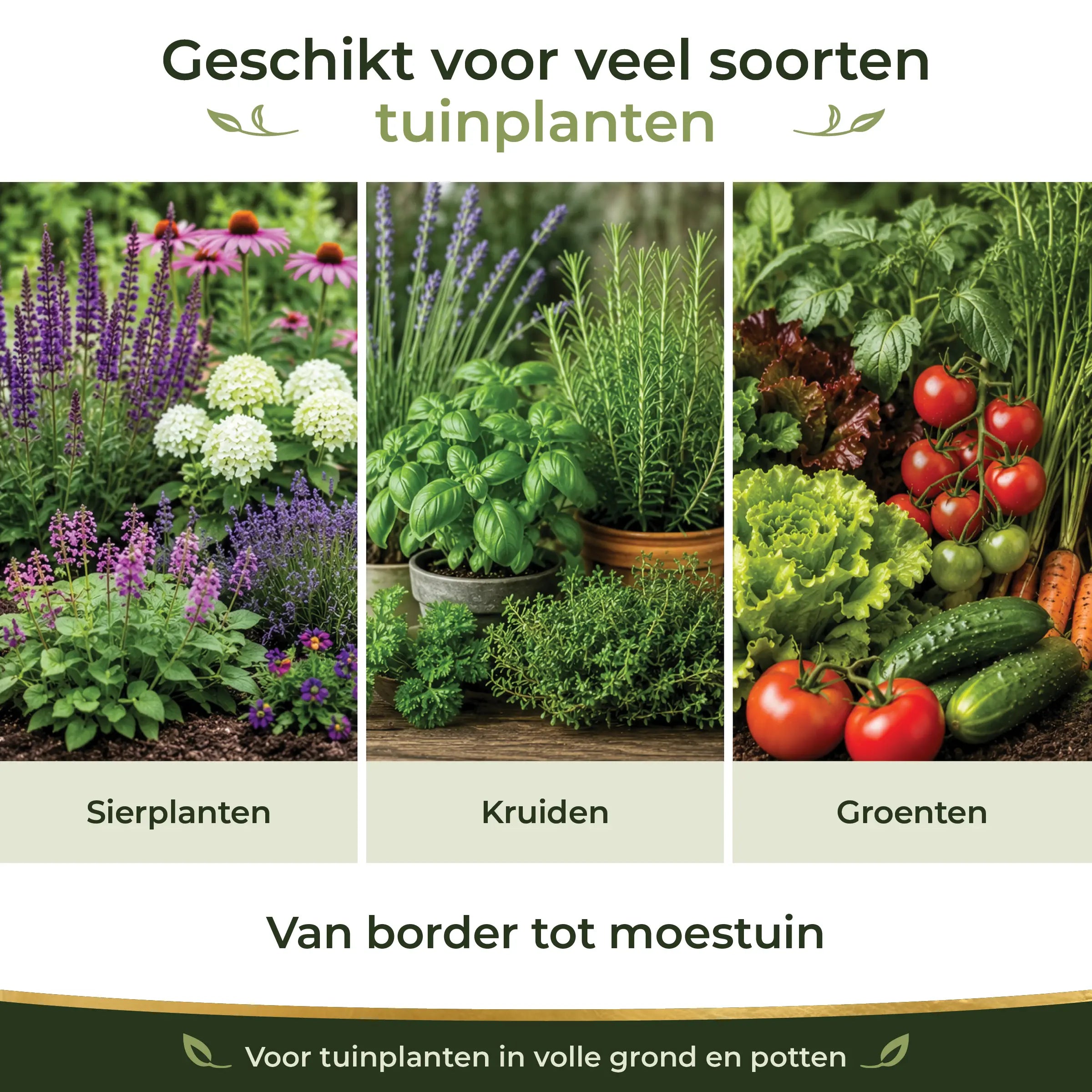 Garden Starter Pack suitable for ornamental plants, herbs and vegetables